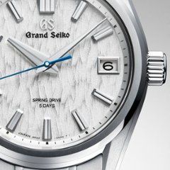 SLGA009●グランドセイコー [Evolution9]ﾏｽﾀｰｼｮｯﾌﾟﾓﾃﾞﾙ【正規保証品】腕時計 メンズ ｽﾌﾟﾘﾝｸﾞﾄﾞﾗｲﾌﾞ白樺 （在庫あり）画像