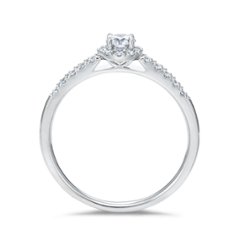 ロイヤルアッシャー JRA0365BP　【正規品】【ご注文後サイズ直し後約4週間後納品】　【アッシャーノベルティ進呈】　指輪画像