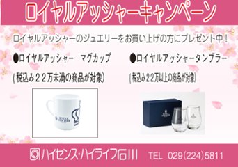 ロイヤルアッシャー　WRB080 / WRA070 マリッジリング　結婚　指輪　ペアリング　 【店頭サンプル在り】画像