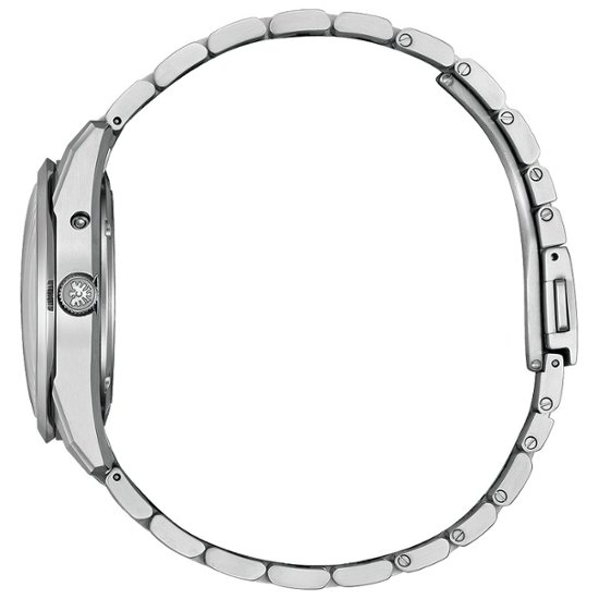 AQ4100-57C 〇The CITIZEN 30周年記念 限定モデル【ベルト調整無料･国内正規品】腕時計 メンズ ソーラー 限定画像