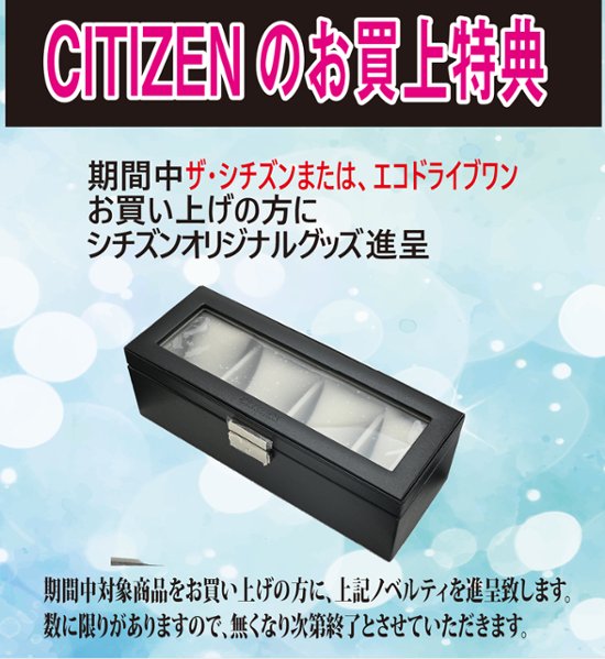 AQ4100-57B:ザ・シチズン【ノベルティ付･ギフト包装･ベルト調整無料･国内正規品】腕時計 メンズ ソーラー 限定 メタリック塗装文字板画像