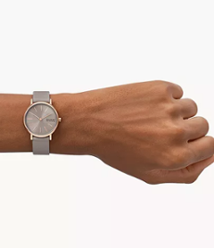 SKW3060　Skagen 【15時迄の注文で本日発送】*水曜除く【正規ﾒｰｶｰ保証書付】 SIGNATUR LILLE 二針 グレーストーン画像