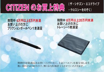 CB0294-54E シチズンコレクション【ノベルティ付・ｷﾞﾌﾄ包装･ｻｲｽﾞ調整無料・国内正規品】ソーラー電波　メンズ腕時計画像