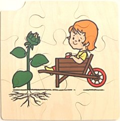 植物パズル　ひまわり画像