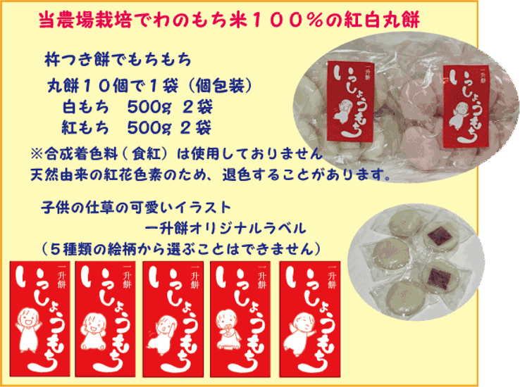 個包装・紅白餅になってリニューアル【送料無料（沖縄を除く）】一升餅・背負い餅・しょい餅・一生餅１歳（1才）の誕生祝に　紅白丸餅　個包装　小包装　でわのもち１００％使用　一升餅セット　天然色素画像