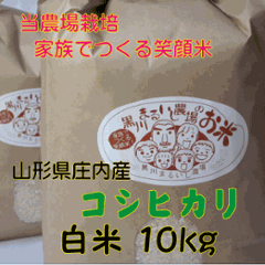 【送料無料（沖縄を除く）】特別栽培米山形県庄内産コシヒカリ　白米１０kg 家族みんなでつくる笑顔米の画像