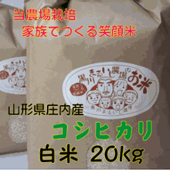 特別価格【送料無料（沖縄を除く）】特別栽培米山形県庄内産コシヒカリ　白米２０kg 家族みんなでつくる笑顔米　当店単独検査の画像