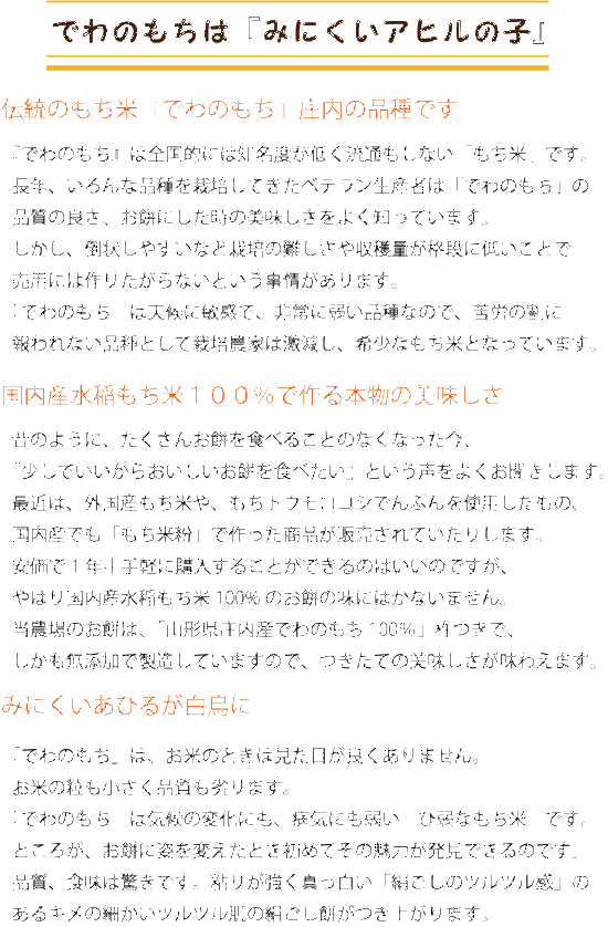 山形県庄内産でわのもち１００％使用　玄米餅　４５０ｇ　１袋　個包装　１０個入り画像