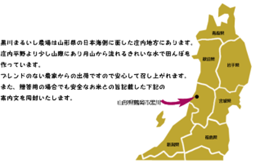 山形県庄内産雪若丸　白米５kg 特別栽培米 農家直送 一等米　特A 鶴岡 精米画像