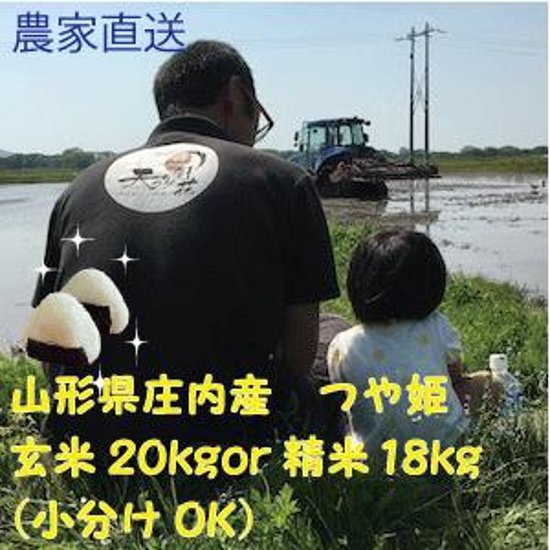 令和６年産　予約販売　玄米つや姫　20kg 送料無料（四国・九州・沖縄・離島を除く） 山形県庄内 農家直送　安い　新米　白米　小分け対応　精米　訳あり画像