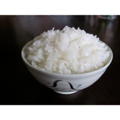 令和６年産　予約販売　玄米つや姫　20kg 送料無料（四国・九州・沖縄・離島を除く） 山形県庄内 農家直送　安い　新米　白米　小分け対応　精米　訳あり画像