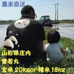 yuki20 米 20kg 令和6年山形県庄内産 特別栽培米　雪若丸 送料無料（九州・沖縄を除く)　玄米20kg または精米18kg 農家直送の画像