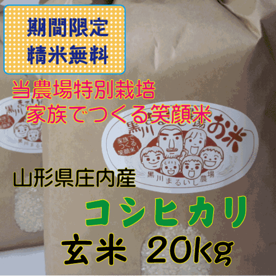 特別栽培米山形県庄内産コシヒカリ　玄米２０kg 家族みんなでつくる笑顔米　当店単独検査【送料無料（沖縄を除く）】画像