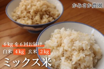 ～予約受付中～　ミックス米　6㎏×6回（計36㎏）　白米4㎏　玄米2㎏　【送料無料】　　10月下旬から順次発送画像