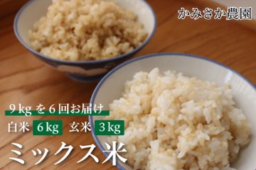 ～予約受付中～　ミックス米　9㎏×6回（計54㎏）　白米6㎏　玄米3㎏　【送料無料】　　10月下旬から順次発送画像