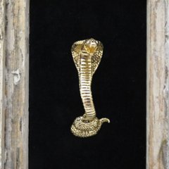 ヴィンテージ ゴールドメタル コブラ ブローチ画像