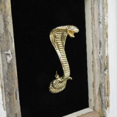 ヴィンテージ ゴールドメタル コブラ ブローチ画像