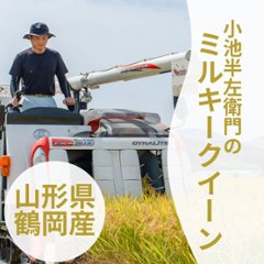 【予約販売】令和7年産 ミルキークイーン　山形県鶴岡市産の画像