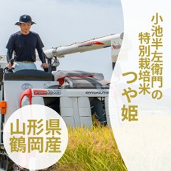 【予約販売】令和7年産 特別栽培米 つや姫　山形県鶴岡市産の画像