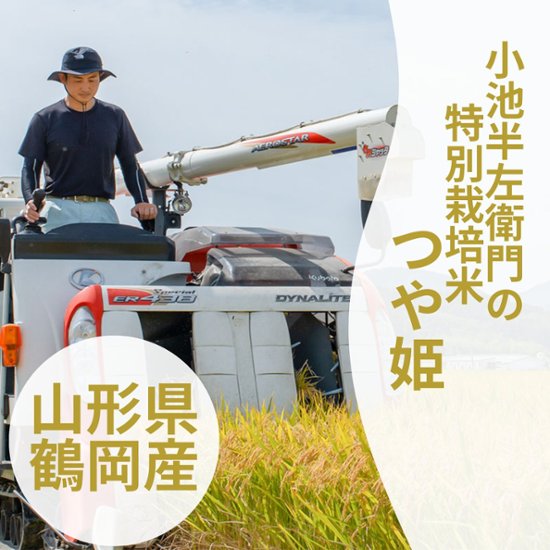 【新米】令和8年産 特別栽培米 つや姫　山形県鶴岡市産画像