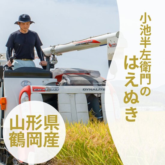 【新米】令和8年産 はえぬき　山形県鶴岡市産画像