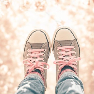 【OUTLET・サクラサク】桜染めシューレース(8.5mm幅)の画像