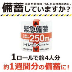 緊急備蓄トイレットペーパー 250m シングル 48個入画像