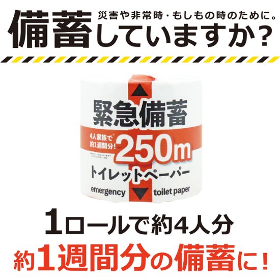 緊急備蓄トイレットペーパー 250m シングル 48個入画像