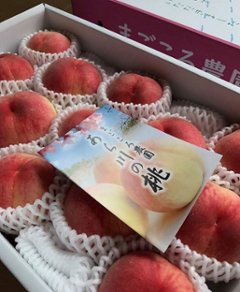 あら川の桃　早生品種（6月半ば～７月上旬頃）（訳あり）4kgX2箱セット！　送料込み！画像