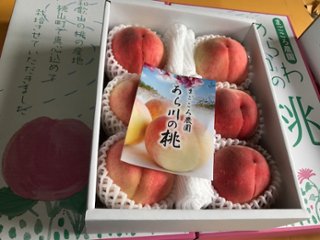 あら川の桃　早生品種（６月半ば～７月上旬頃）（訳あり）2kg箱　送料込み！画像