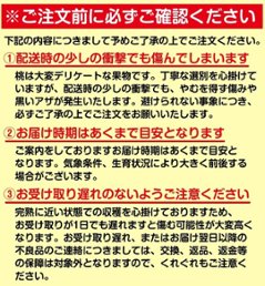 あら川の桃　早生品種（６月半ば～７月上旬頃）（訳あり）2kg箱　送料込み！画像