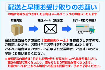 あら川の桃　早生品種（６月半ば～７月上旬頃）（訳あり）2kg箱　送料込み！画像