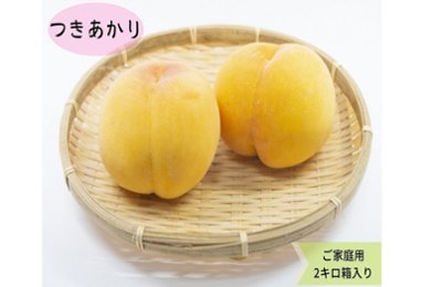 あらかわの桃　つきあかり（7月上中旬以降）2kg箱（訳あり）送料込み！数量限定！の画像