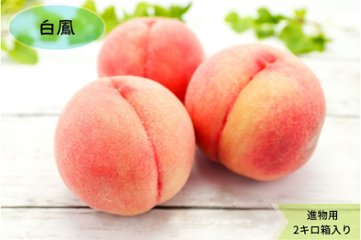 あら川の桃　白鳳（7月上中旬以降）贈答、進物用2kg箱 送料込み！の画像