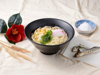 MR-10（冷凍）レンジ対応・五島手延うどん「七椿」　ミニうどん２食入り×６入｜ レンジで４分、簡単調理画像