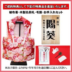 嘉祥作 小三五金彩衣裳着親王 白木造り平飾り 画像