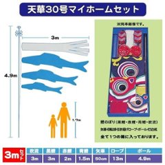 天華錦鯉マイホームセットと庭園スタンドセット　３ｍ/４ｍ画像