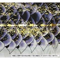 徳永鯉　千寿　３ｍ/４ｍ/５ｍ　６点セット撥水加工画像