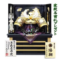 武光作　30号徳川家康着用兜収納飾りの画像