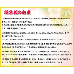 宝童作　１７号　嵯峨プレミアム羽子板飾り画像