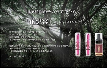 花想容ＢＥＡＵＴＹ ＳＥＲＵＭ（１本）画像