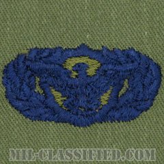 警備機能章 (ベーシック)（Security Police Functional Badge, Basic）[サブデュード/ブルー刺繍/パッチ]の画像