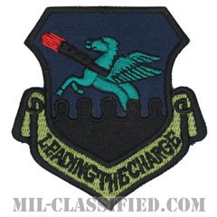 第51戦闘航空団（51st Fighter Wing）[サブデュード/カットエッジ/パッチ]の画像