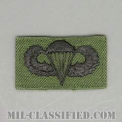 空挺章 (ベーシック)（Parachutist Badge, Basic）[サブデュード/パッチ/中古1点物]の画像