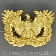 アメリカ陸軍制帽用帽章 (准尉用・男女兼用)（Army Service Cap Device, Warrant Officer）[カラー/バッジ/中古1点物]の画像