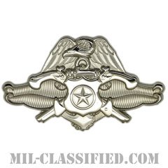 Navy Security Force Master Specialist [カラー/バッジ]の画像