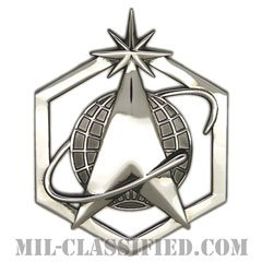 アメリカ宇宙軍制帽用帽章 (下士官用・男性用)（Space Force Service Cap Device, Enlisted, Male）[カラー/バッジ]の画像