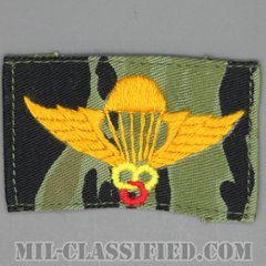 南ベトナム軍インストラクター空挺章 (ベーシック)（RVN Instructor Parachutist Badge, Basic）[カラー/タイガー生地手刺繍/パッチ/レプリカ/1点物]の画像