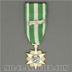 RVN Campaign Medal [ミニメダル（ミニチュア勲章・Miniature Medal）]の画像