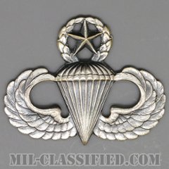 空挺章 (マスター)（Parachutist Badge, Master）[カラー/燻し銀/バッジ/中古1点物]の画像
